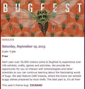 Bugfest Info